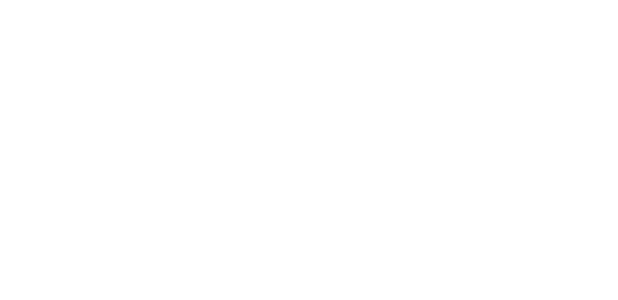 Southern Futures Logo